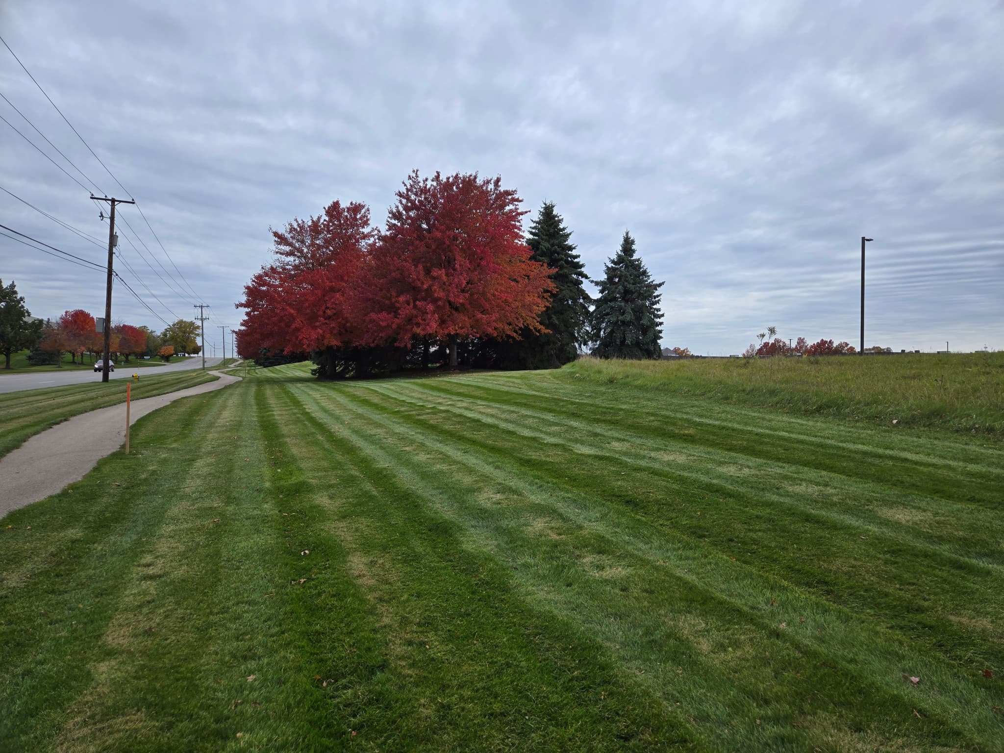 Professional lawn care and maintenance by Aesthetic Gardener Holland Michigan