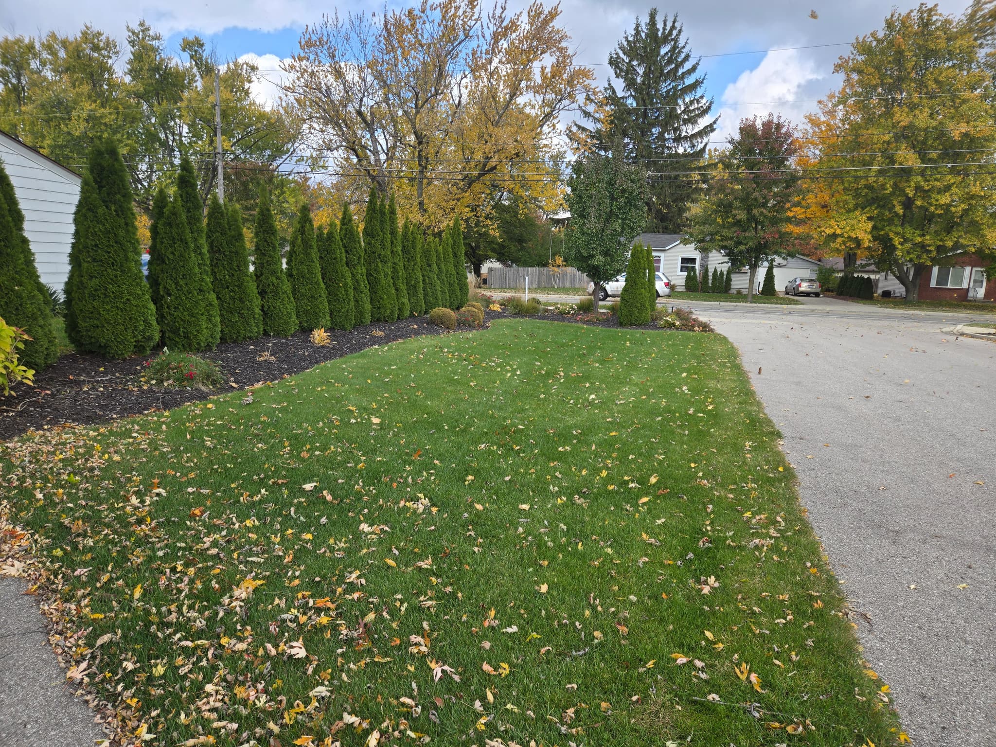 Corner Lot Maintenance - Lawn Care project by Aesthetic Gardener Holland Michigan